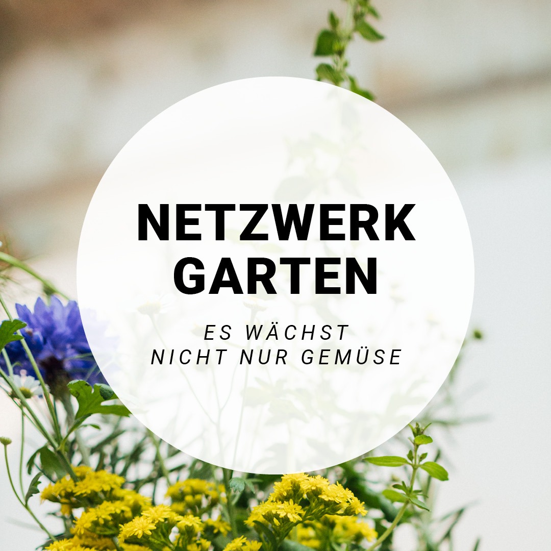 Ein Blumenstrauss mit lilanen und gelben Blumen, davor ein weißer Kreis mit der Aufschrift: Netzwerkgarten. Es wächst nicht nur Gemüse.